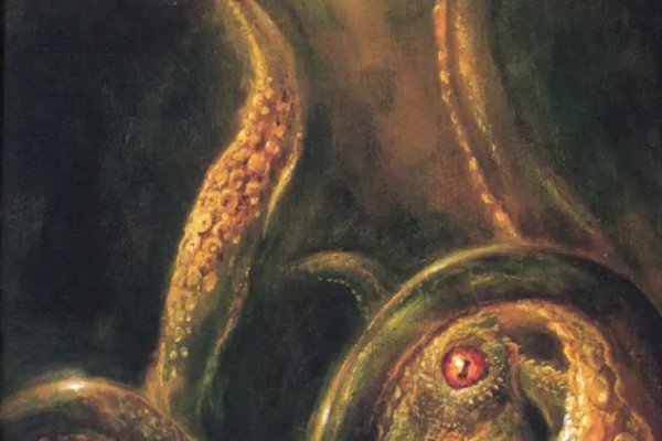 Kraken kraken link24 info