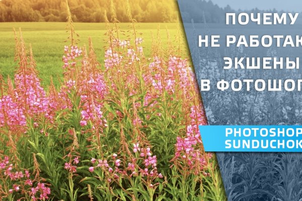 Kraken зеркало даркнет