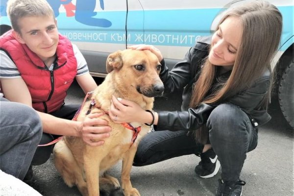 Кракен сайт даркнет официальный