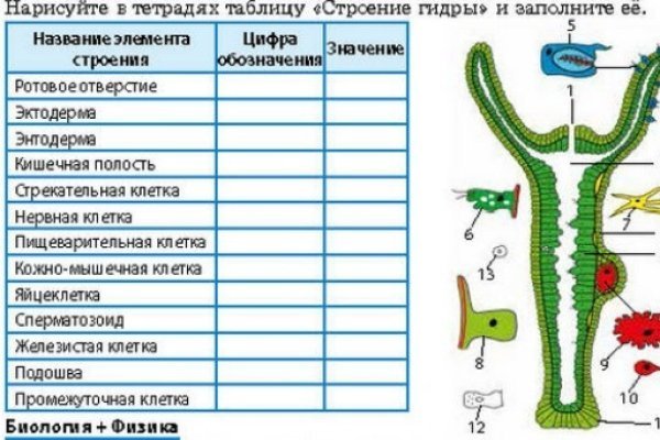 Кракен маркет даркнет скачать