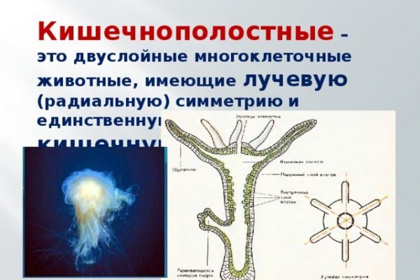 Кракен шоп интернет магазин