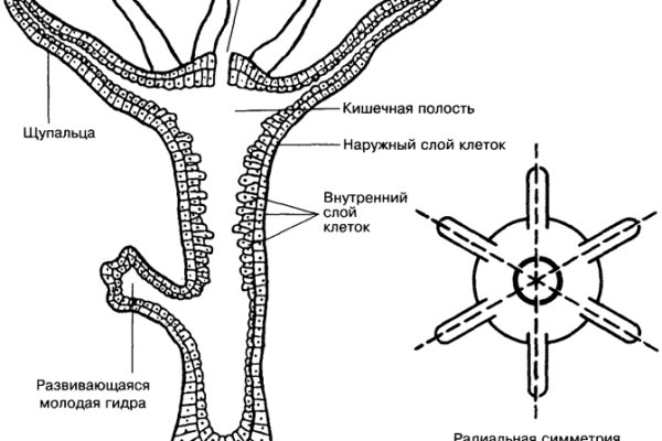 Kraken взломать